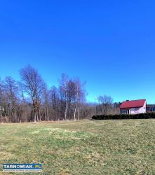 Działka budowlana 22 ary Jodłówka-Wałki - Obrazek 2