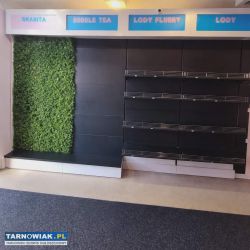 Regał gastronomiczny sklepowy zielona ściana - Obrazek 1