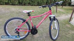 Rower 26 Kross F2 alu rama 17 cali bdb stan sprawn - Obrazek 1