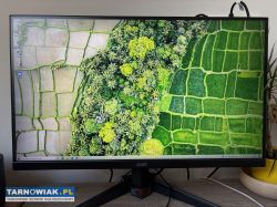 Komputer gamingowy - Obrazek 4