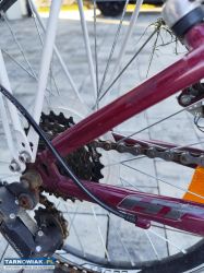 Rowerek dla dziecka 20" - Obrazek 4