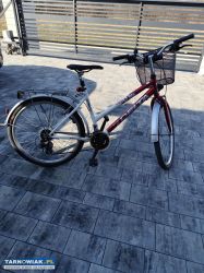 Rower damski - Obrazek 1