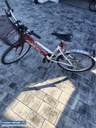 Rower damski - Obrazek 2