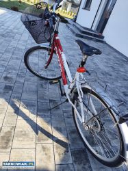 Rower damski - Obrazek 4