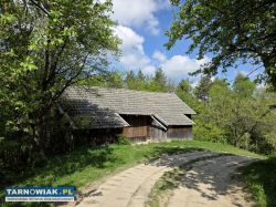 Drewniany dom na wzgórzu – wśród lasów 4,04ha - Obrazek 3