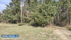 Malownicza działka w Pogórskiej Woli - Obrazek 1