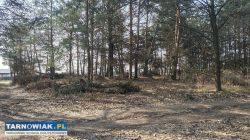 Malownicza działka w Pogórskiej Woli - Obrazek 2