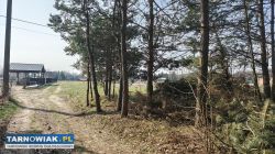 Malownicza działka w Pogórskiej Woli - Obrazek 3