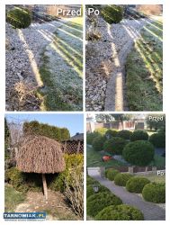 Usługi ogrodnicze - Obrazek 2