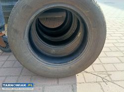 4 opon letnie dębica presto 195/65/15 2024 - Obrazek 2