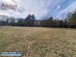 Działka z WZ , Tarnów-Krzyż - Obrazek 3