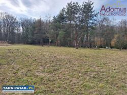 Działka z WZ , Tarnów-Krzyż - Obrazek 2