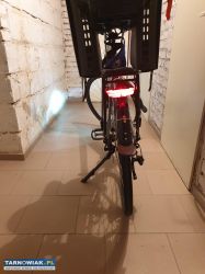 Rower elektryczny - Obrazek 2