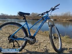 Rower górski damski - Obrazek 2