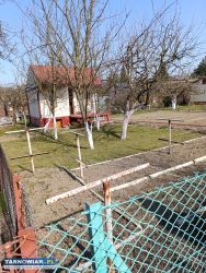 Działka rod Leliwa - Obrazek 2