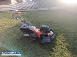 Kosiarka Oleo-mac spalinowa - Obrazek 2