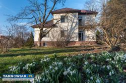 Dom 176 m2 tuchów - Obrazek 1