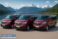 BUS 9-OSOBOWY wynajem-przewóz osób - Obrazek 3