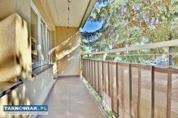 Mieszkanie 3 pokojowe, parter, po remoncie - Obrazek 4