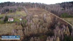 Na sprzedaż działka rolna 1,85 ha – Wola Lubecka - Obrazek 2