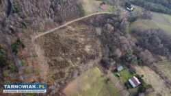 Na sprzedaż działka rolna 1,85 ha – Wola Lubecka - Obrazek 1