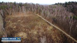 Na sprzedaż działka rolna 1,85 ha – Wola Lubecka - Obrazek 3