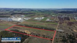 Działka inwestycyjna 7,35ha przy trasie S8 - Obrazek 3