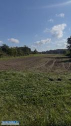 Wyjątkowa oferta – 3 działki budowlane - Obrazek 3