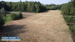 Działka Rudka-Wierzchosławice-Niwka - Obrazek 3