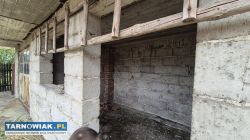 Dom z cegły 45 m² - Lubasz, gm. Szczucin - Obrazek 3