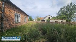 Dom z cegły 45 m² - Lubasz, gm. Szczucin - Obrazek 2