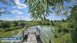 Dom w Lisiej Górze z prywatnym stawem ! - Obrazek 2