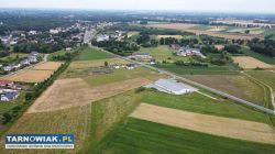 Działka OLESNO,powiat dąbrowski-23ar i 20ar - Obrazek 1