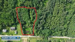 Na sprzedaż działka rolno-budowlana Mędrzechów - Obrazek 1