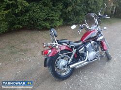 Yamaha Virago 125cm2 - Obrazek 4