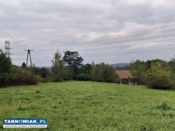 3 sąsiednie działki! 1 z 4 już sprzedana - Obrazek 2