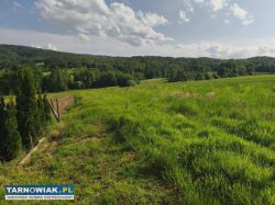 Działka budowlana dla rolnika - Obrazek 2