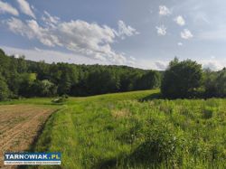 Działka budowlana dla rolnika - Obrazek 3