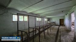 Gospodarstwo z zabudowaniami - Obrazek 3