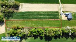 Sprzedaż działki budowlanej,8900zł/ar - Ładna - Obrazek 3