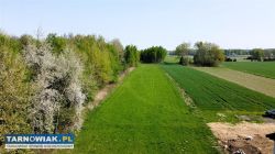 Sprzedaż działki budowlanej,8900zł/ar - Ładna - Obrazek 4