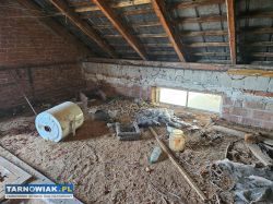 Dom, budynki gospodarcze Mędrzechów - Obrazek 4