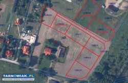 Do sprzedania działki w Szczucinie - Obrazek 1