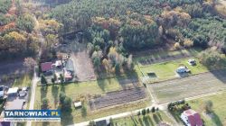 Sprzedam trzy działki w miejscowości Szczucin - Obrazek 3