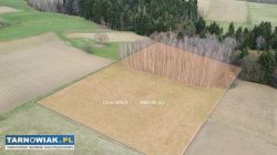 Piękna Działka z Widokiem na Pasmo Brzanki - Obrazek 1