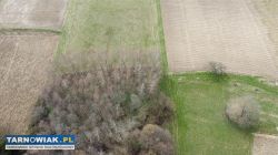 Piękna Działka z Widokiem na Pasmo Brzanki - Obrazek 2