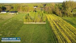 Na sprzedaż działka budowlana-Luszowice - Obrazek 3