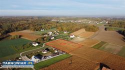 sprzedam nieruchomość gruntową -Morzychna - Obrazek 1