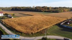 sprzedam nieruchomość gruntową -Morzychna - Obrazek 2