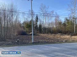 Działka Budowlana Machowa gm. Pilzno - Obrazek 3